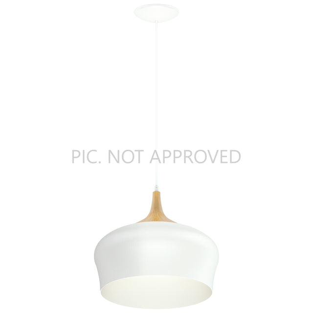 Pendant lamp OBREGON