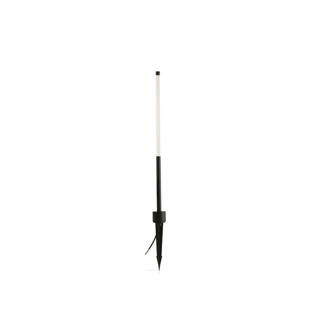 BAMBOU 1068 Spike