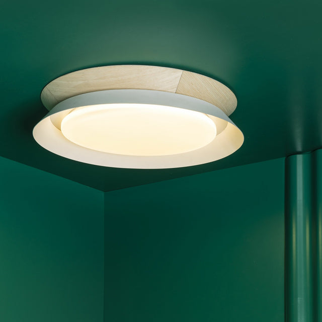 TENDER CEILING LAMP LED 24W 3000K