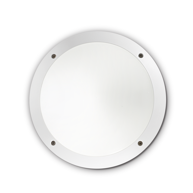 POLAR-1 AP1 WHITE