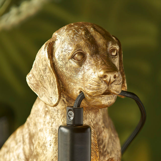 Labrador Puppy Table