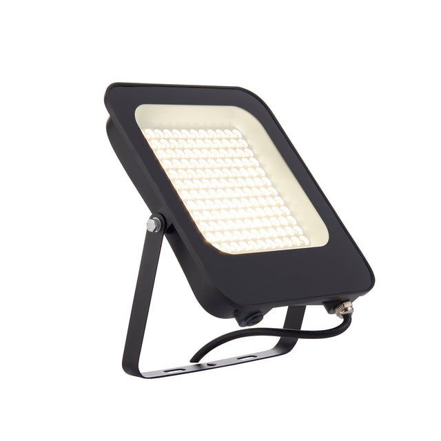 Guard 100W Floodlight 4000K IP65