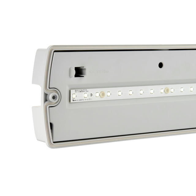 SightPRO 2-in-1 Self Test Emergency Bulkhead 4W IP65