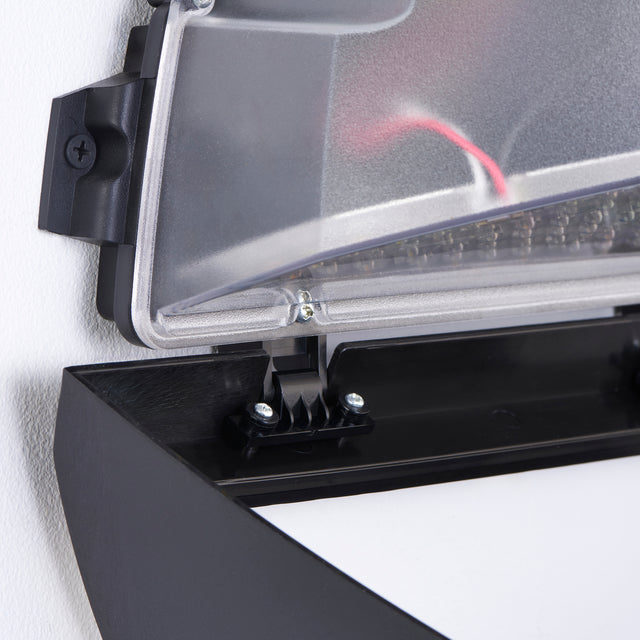 Forge XL CCT Wall Pack 16W/20W/24W