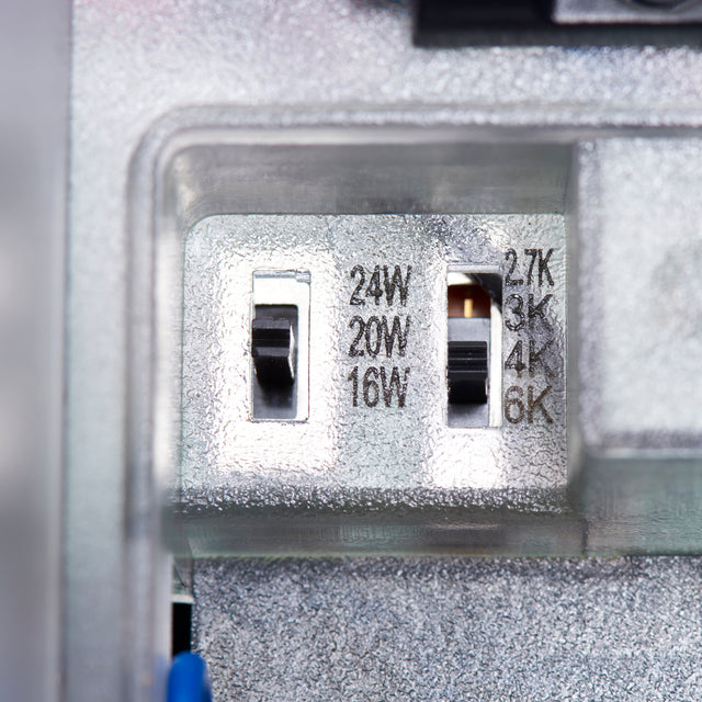 Forge XL CCT Wall Pack 16W/20W/24W