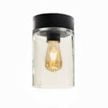 Tesla E27 Ceiling Light - anthracite aluminium with clear glass