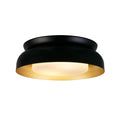 Kendal 2Lt Flush, Black & Gold Metal with Frosted Diffuser