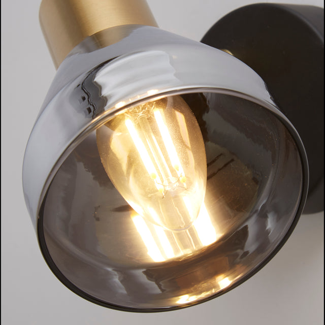 Westminster Spotlight  - Black, Satin Brass Metal & Smoked