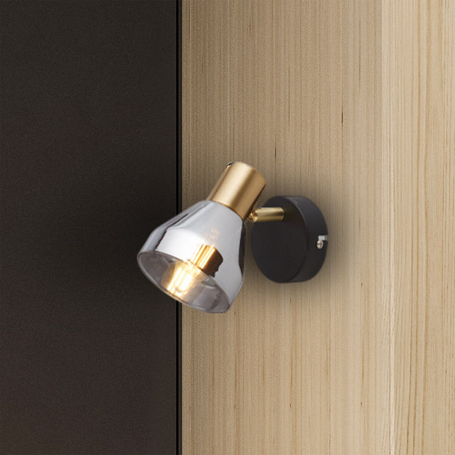 Westminster Spotlight  - Black, Satin Brass Metal & Smoked