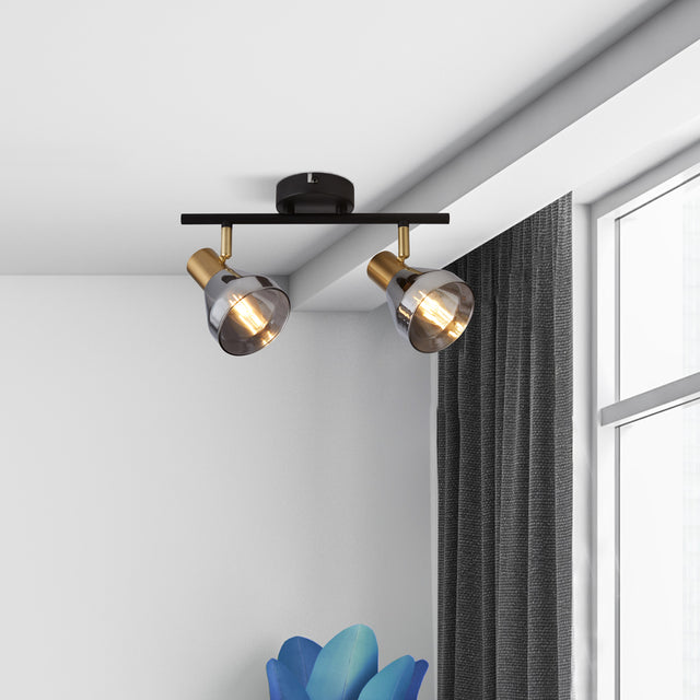 Westminster 2Lt Spot - Black, Satin Brass Metal & Smoked