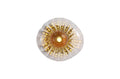 Sunbeam 1lt Wall Light, Clear and Amber Ribbed Glass