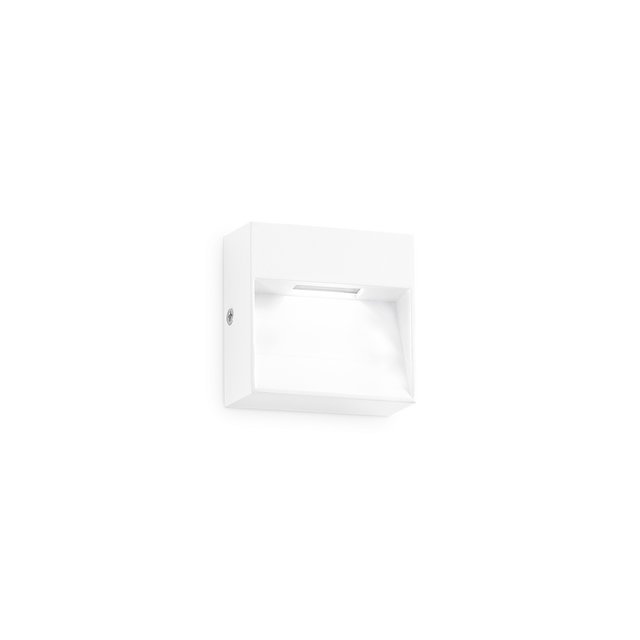 DEDRA AP BIG WHITE