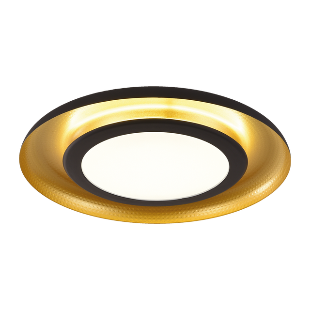 Shiitake Ceiling lamp