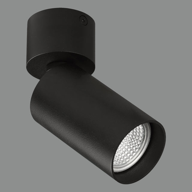 Zoom Spotlight