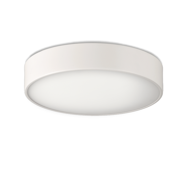 Dins Ceiling lamp