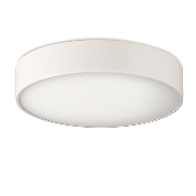 Dins Ceiling lamp