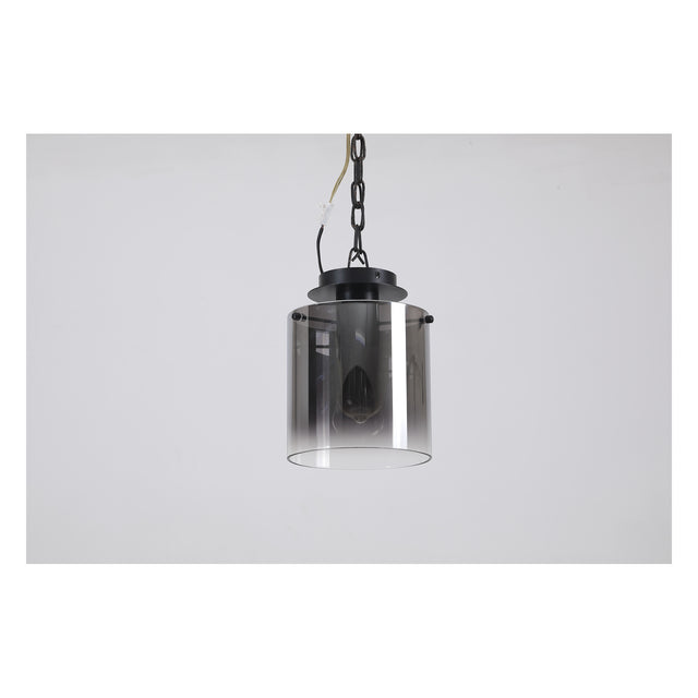 Sweden 1Lt Flush - Matt Black & Smoked Glass