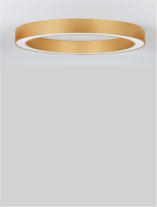 MORBIDO CCT Dimmable Brass Gold Aluminium & Acrylic LED 48 Watt 230 Volt 3730Lm 2700K - 4000K IP20 Remote Control Included D1: 60 D2: 46 H:8 cm