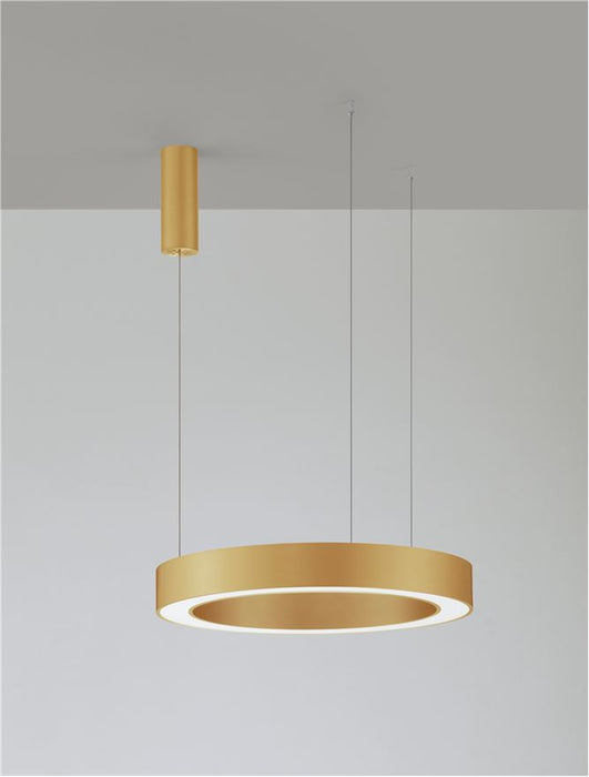 MORBIDO CCT Dimmable Brass Gold Aluminium & Acrylic LED 48 Watt 230 Volt 3268Lm 2700K - 4000K IP20 Remote Control Included D: 60 H: 200 cm Adjustable Height