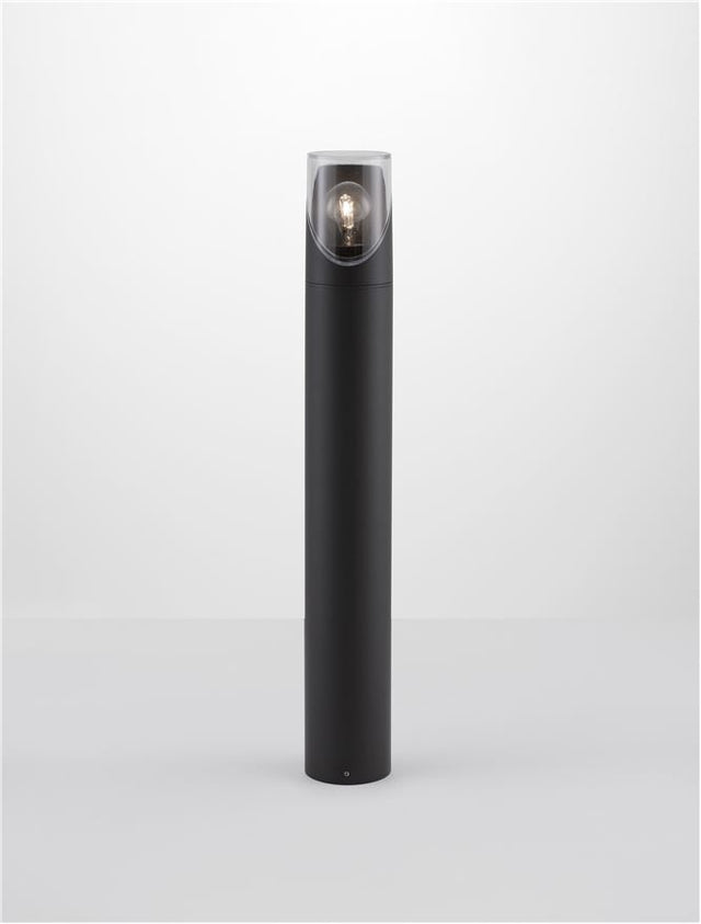 SELENA Anthracite Die-Casting Aluminum & Clear Acrylic LED E27 1x12 Watt 220-240 Volt Bulb Excluded IP65 D: 9 H: 65 cm