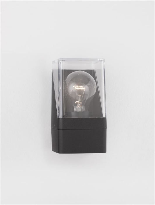 SELENA Anthracite Die-Casting Aluminum & Clear Acrylic LED E27 1x12 Watt 220-240 Volt Bulb Excluded IP65 L: 8.5 W: 9.8 H: 16 cm