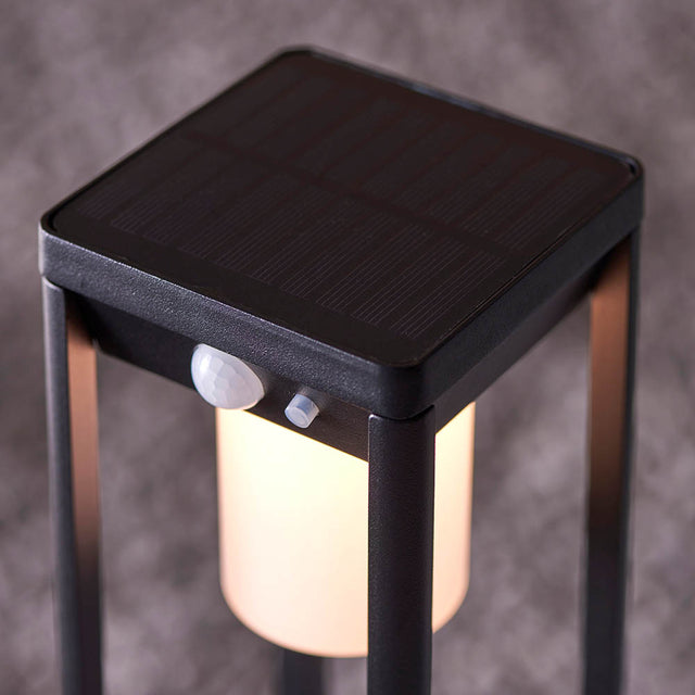 Hallam Bollard photocell & PIR