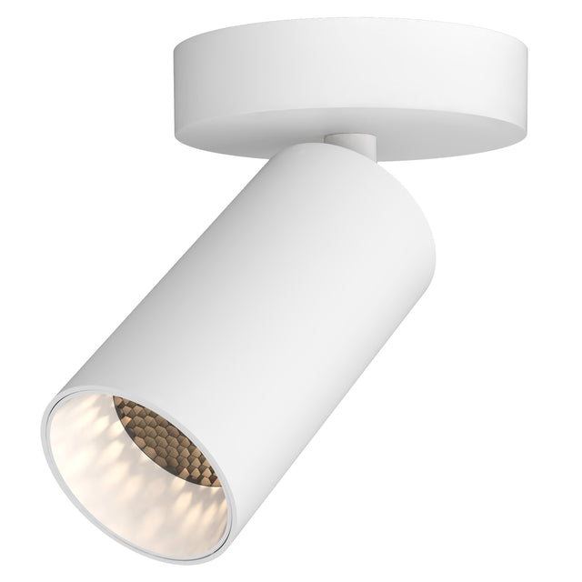 Can 50 Single