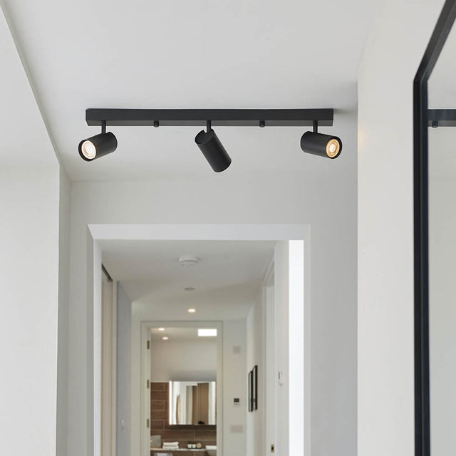 Rez 3lt Plate spotlight