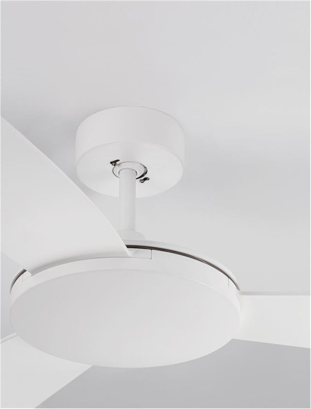 BLAIRE Fan White Aluminium White ABS D: 132 cm H: 43 cm 6 Speed Remote, 54’’ Blade DC 38W,AC220-240V 5250CFM 220RPM,4.7Kg Summer/Winter Function,Remote Control,2 Years Light & control 10 Years motor, Class I