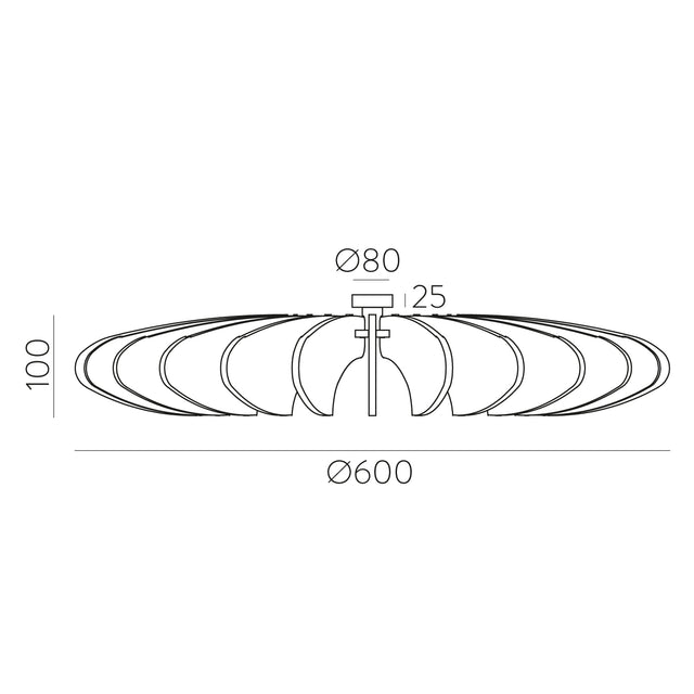 Rosa Del Desierto Wall Lamp