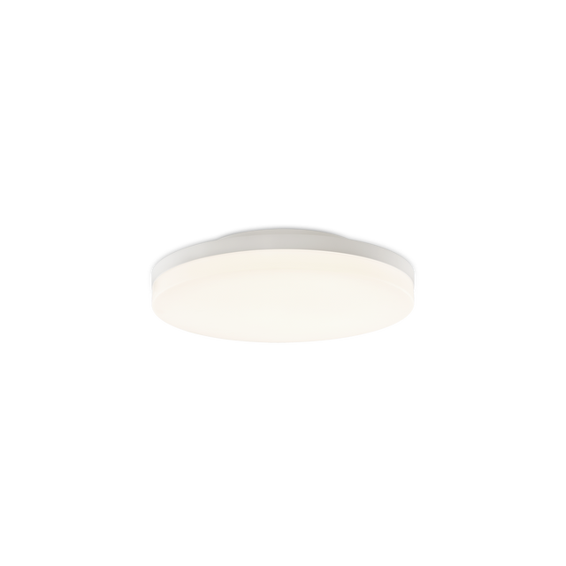 Angus Ceiling lamp