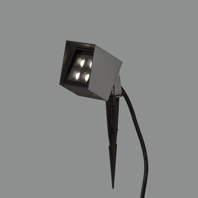 Apus Wall Lamp