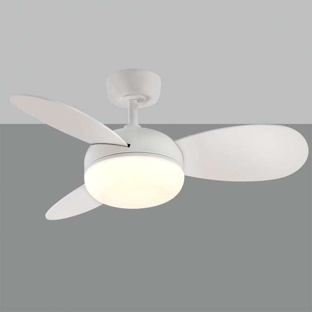 Bise Ceiling Fan