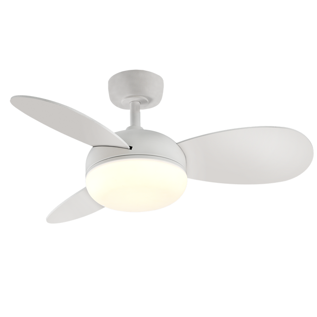 Bise Ceiling Fan