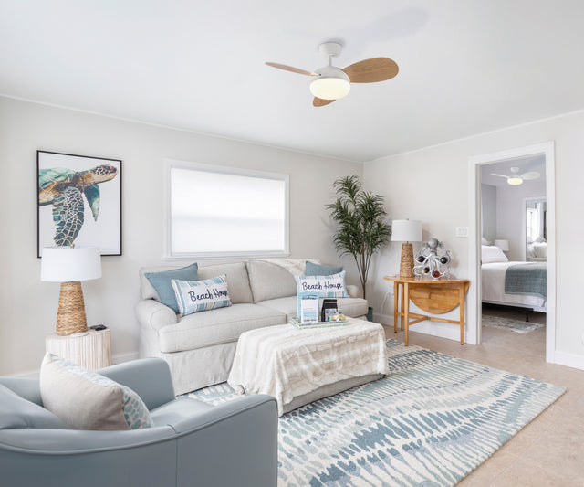 Bise Ceiling Fan