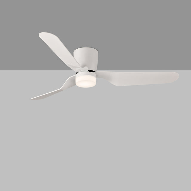 Brisa Ceiling Fan
