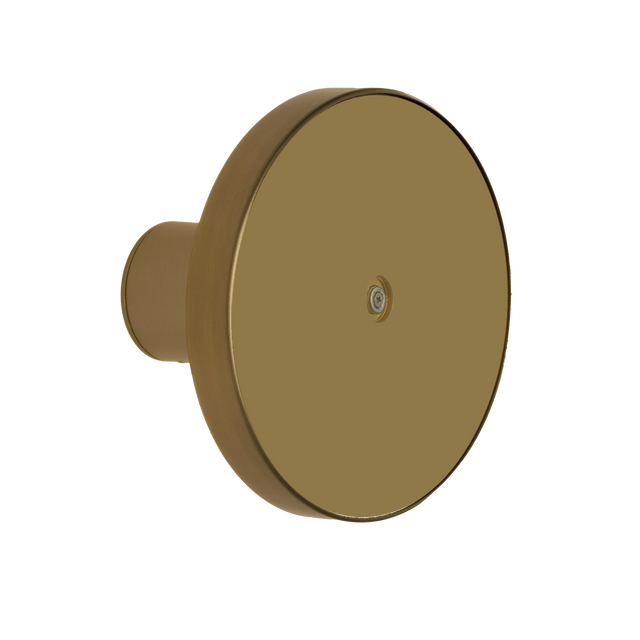 Chamaleon Wall Lamp