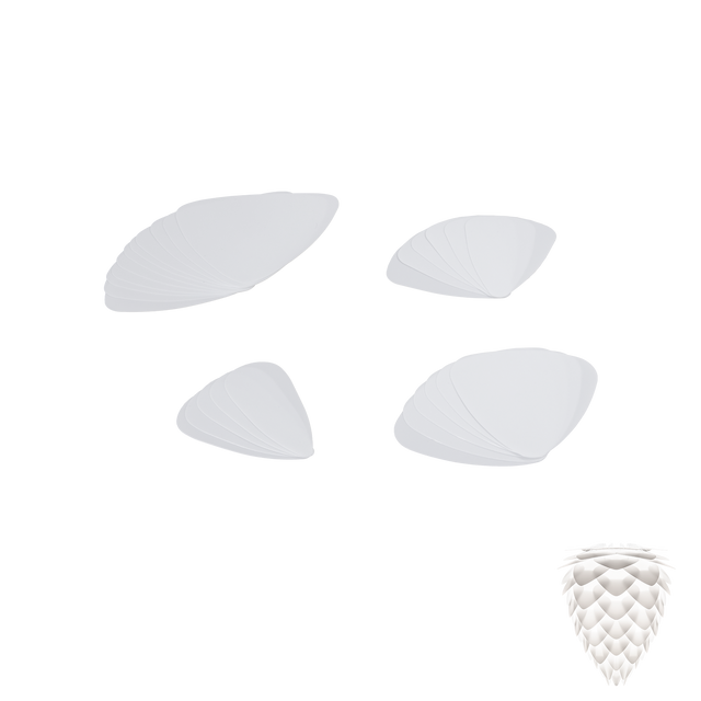 2019LP05A