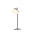 Tully Table Lamp - Satin Silver Metal & Frosted Shade