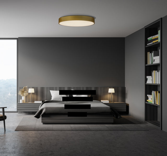 Isia Ceiling lamp