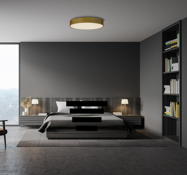 Isia Ceiling lamp
