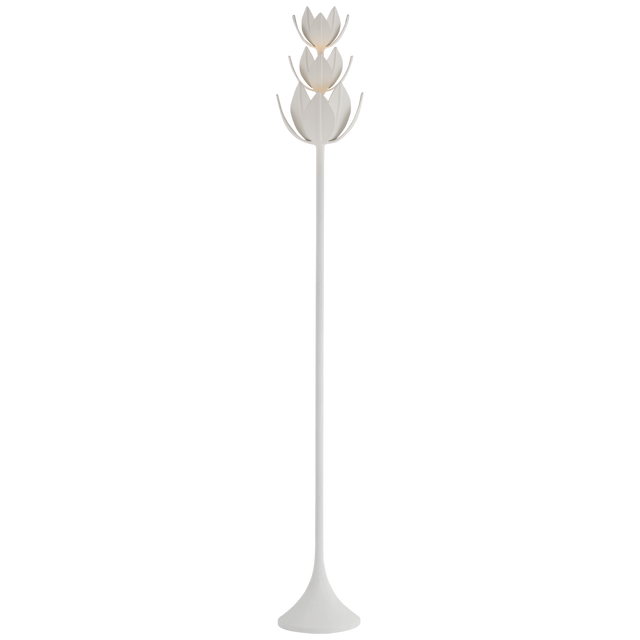 Alberto Decorative