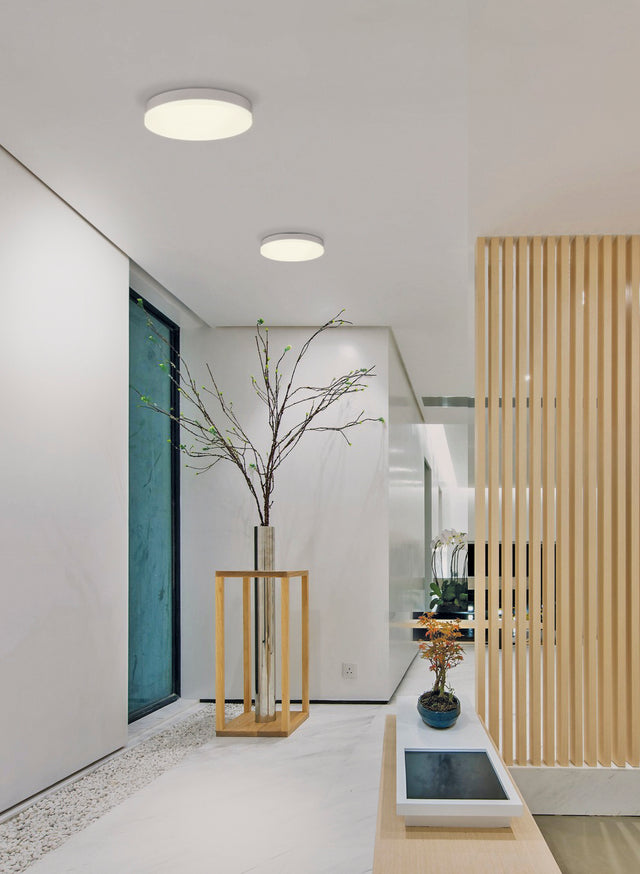 Madison Ceiling lamp