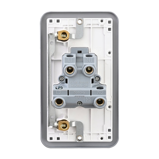 45A Large Plate DP Switch with Neon