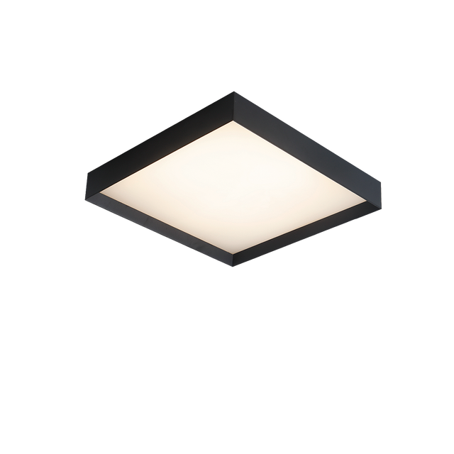 Munich Ceiling lamp