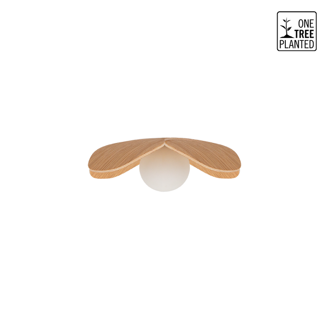 hover-image