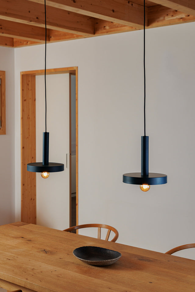 WHIZZ pendant lamp