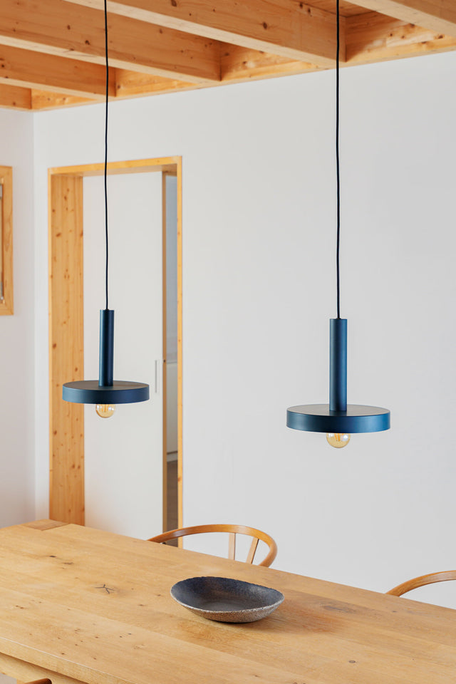 WHIZZ pendant lamp