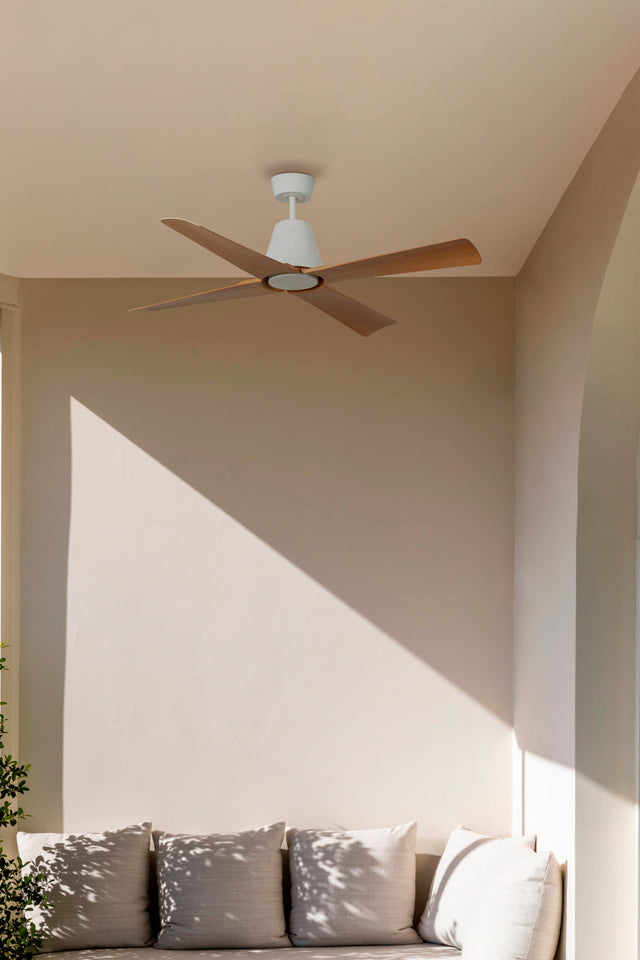 TYPHOON M fan