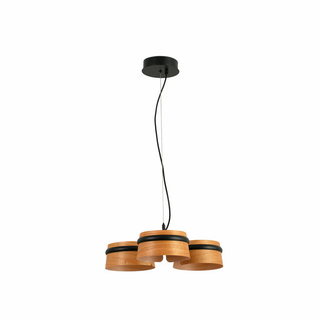 LOOP PENDANT LAMP
